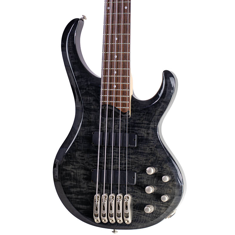 Bass Guitars