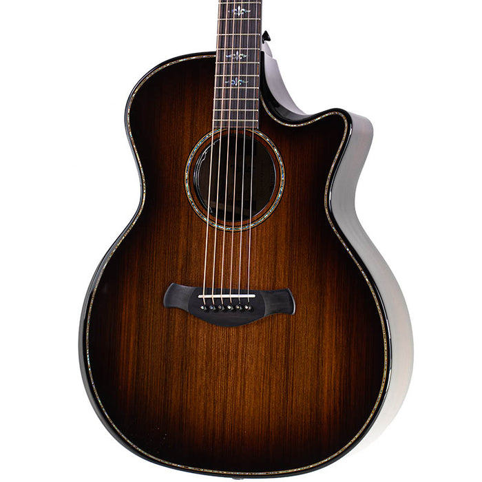 Taylor Next Generation Builder's Edition 914ce LTD Macassar Ebony