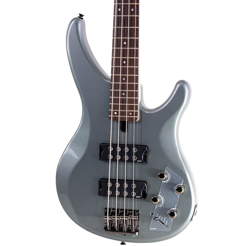 Bass Guitars