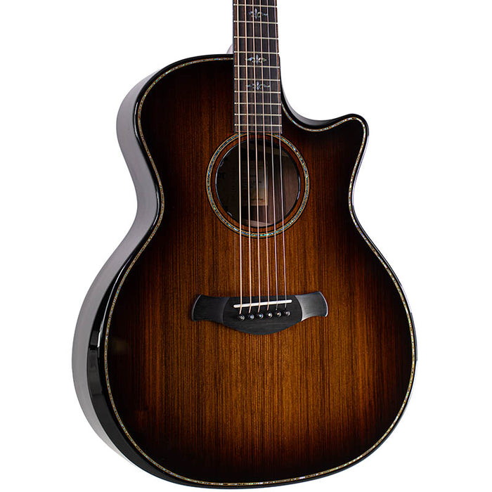Taylor Next Generation Builder's Edition 914ce LTD Macassar Ebony