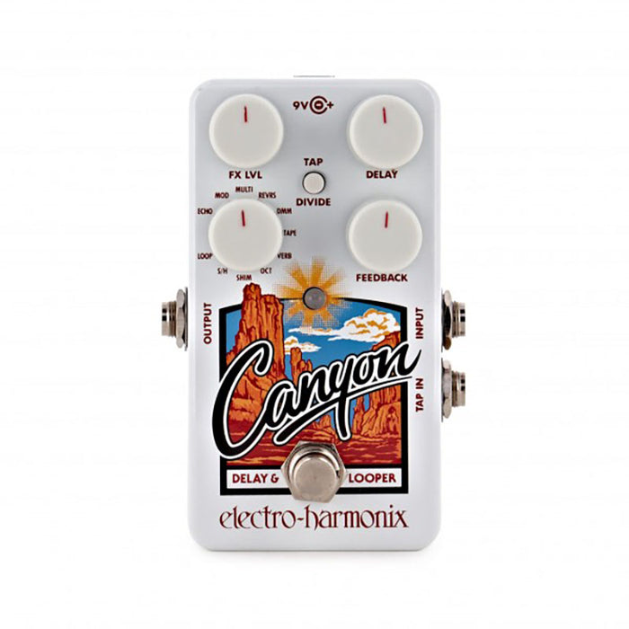 Brand New Electro-Harmonix Canyon Delay and Looper